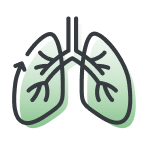 Lungs icon
